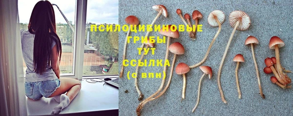 a pvp Майский