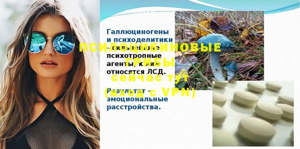 сатива Медвежьегорск