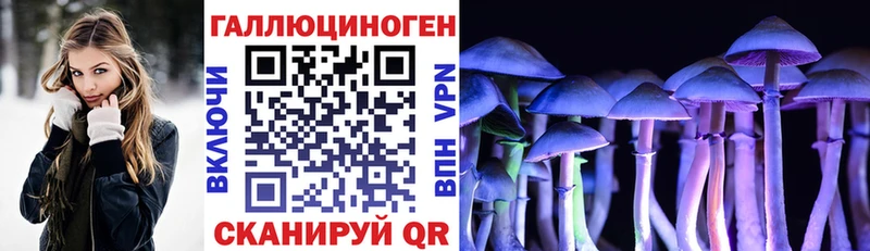 Галлюциногенные грибы Cubensis Купить Каневская
